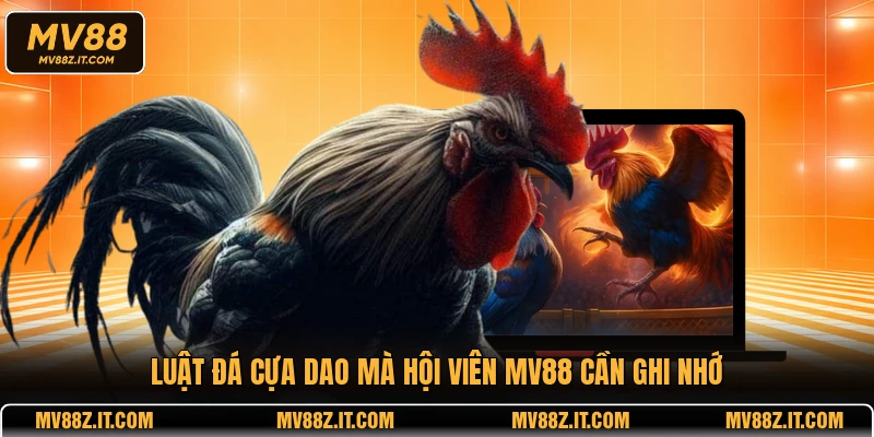Luật đá cựa dao mà hội viên MV88 cần ghi nhớ